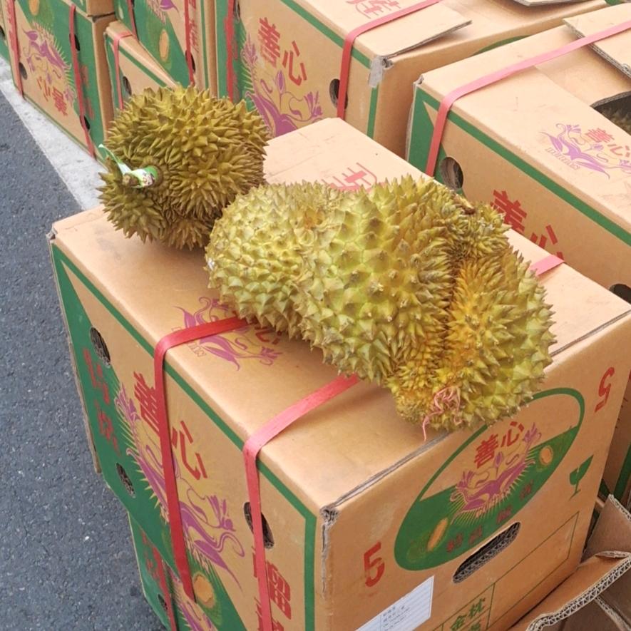 珠三角货运师傅