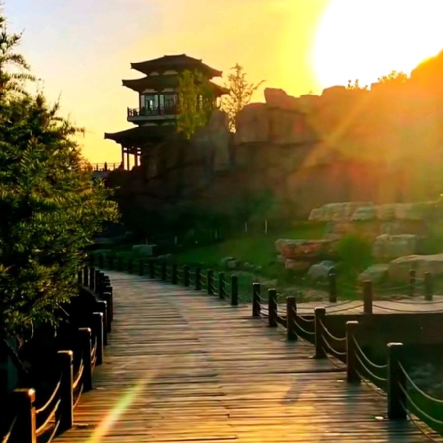 lj小小