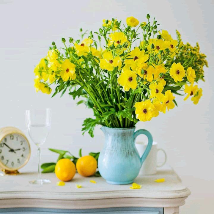 决定人生高度？