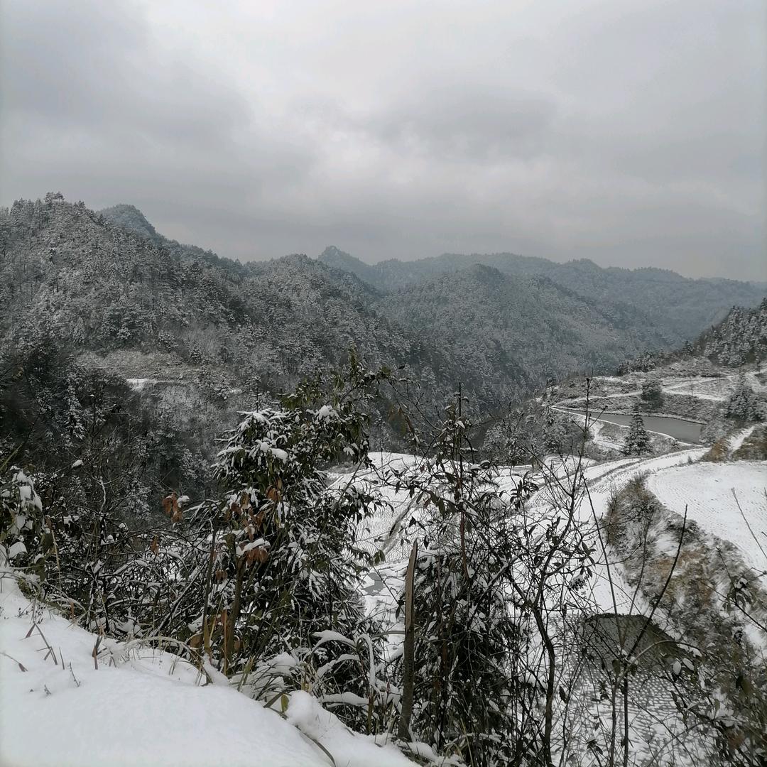 夕阳西下,我做饭等你