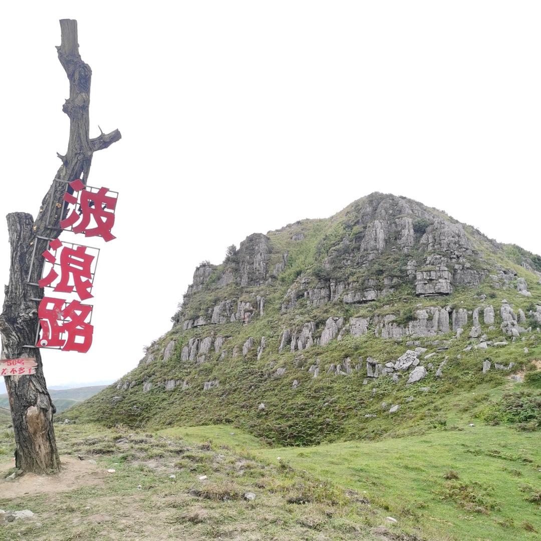 小龙人