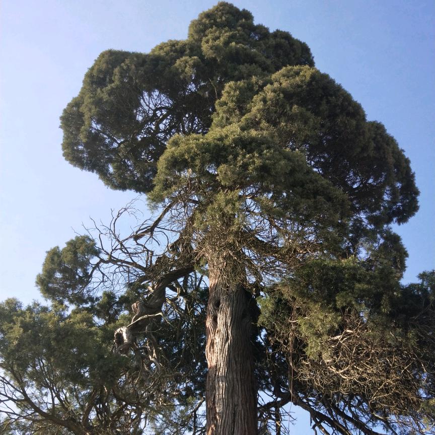 涛声依旧