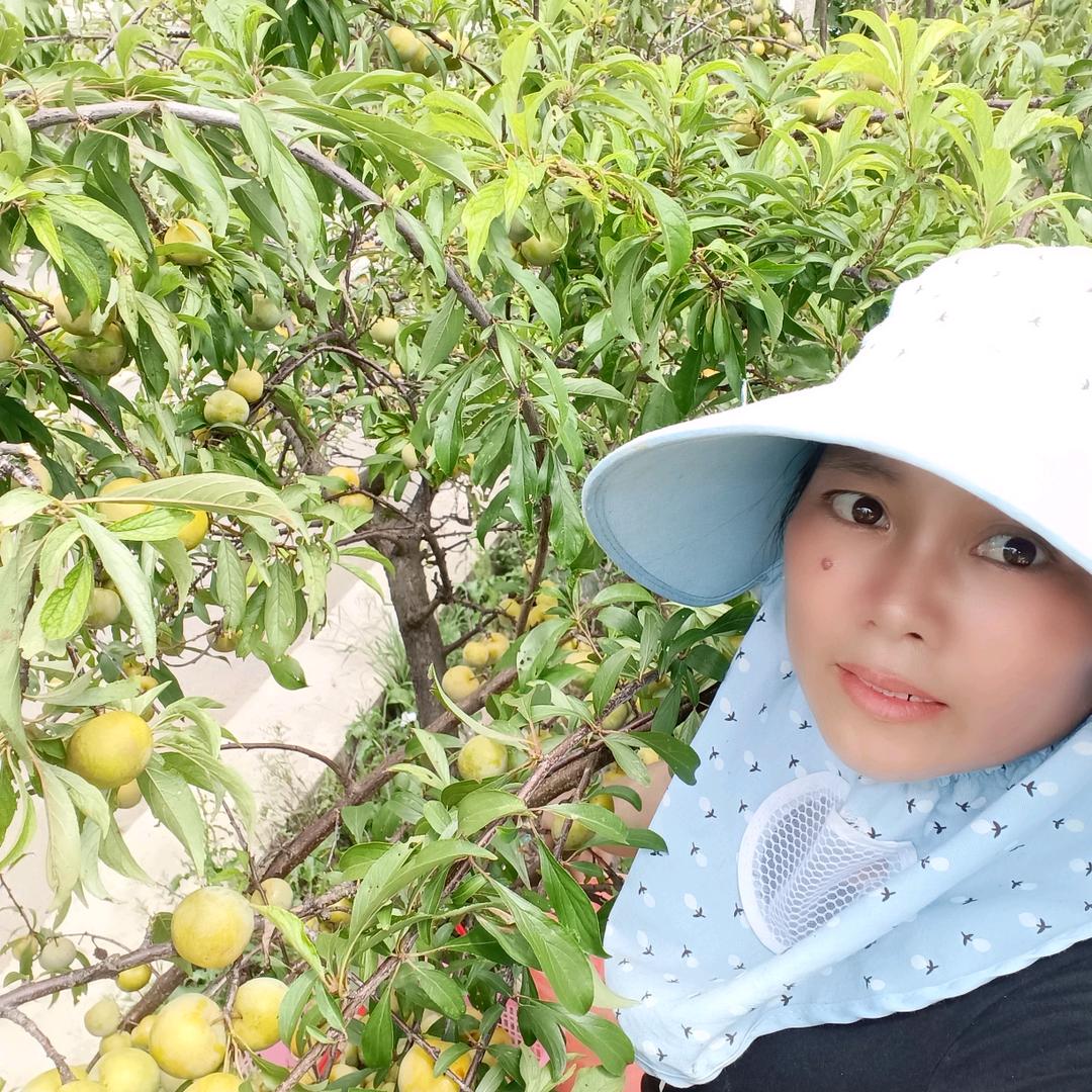 不为物喜不以己悲