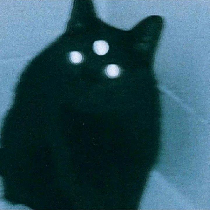 夜斗神