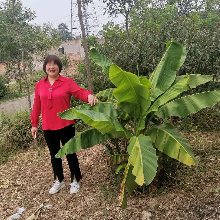 下吉红庙二手市场