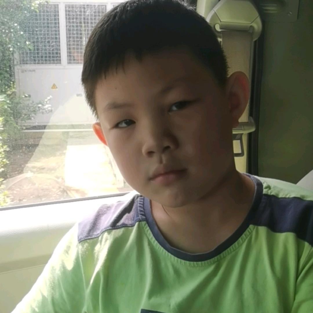 小花猫