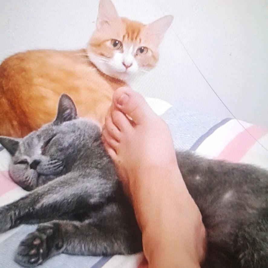 柯柯柯啊