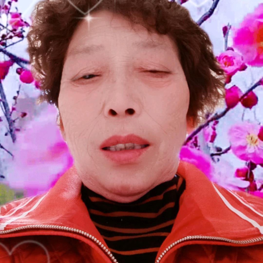 花开四季2