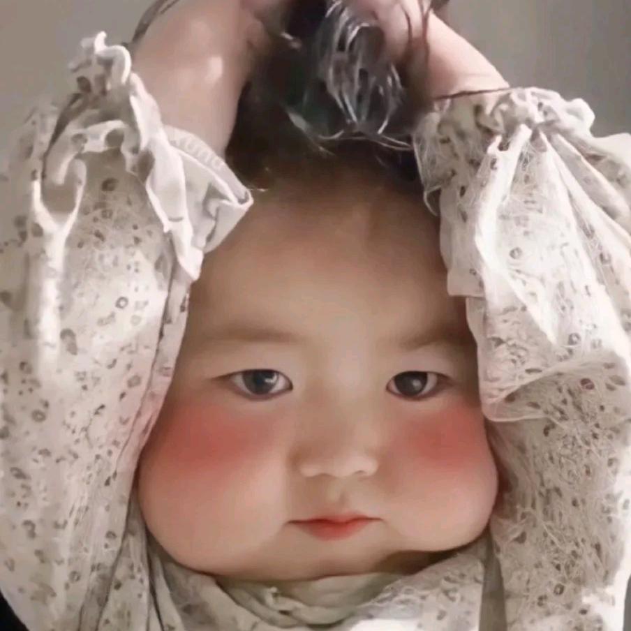 猫猫三缺一i