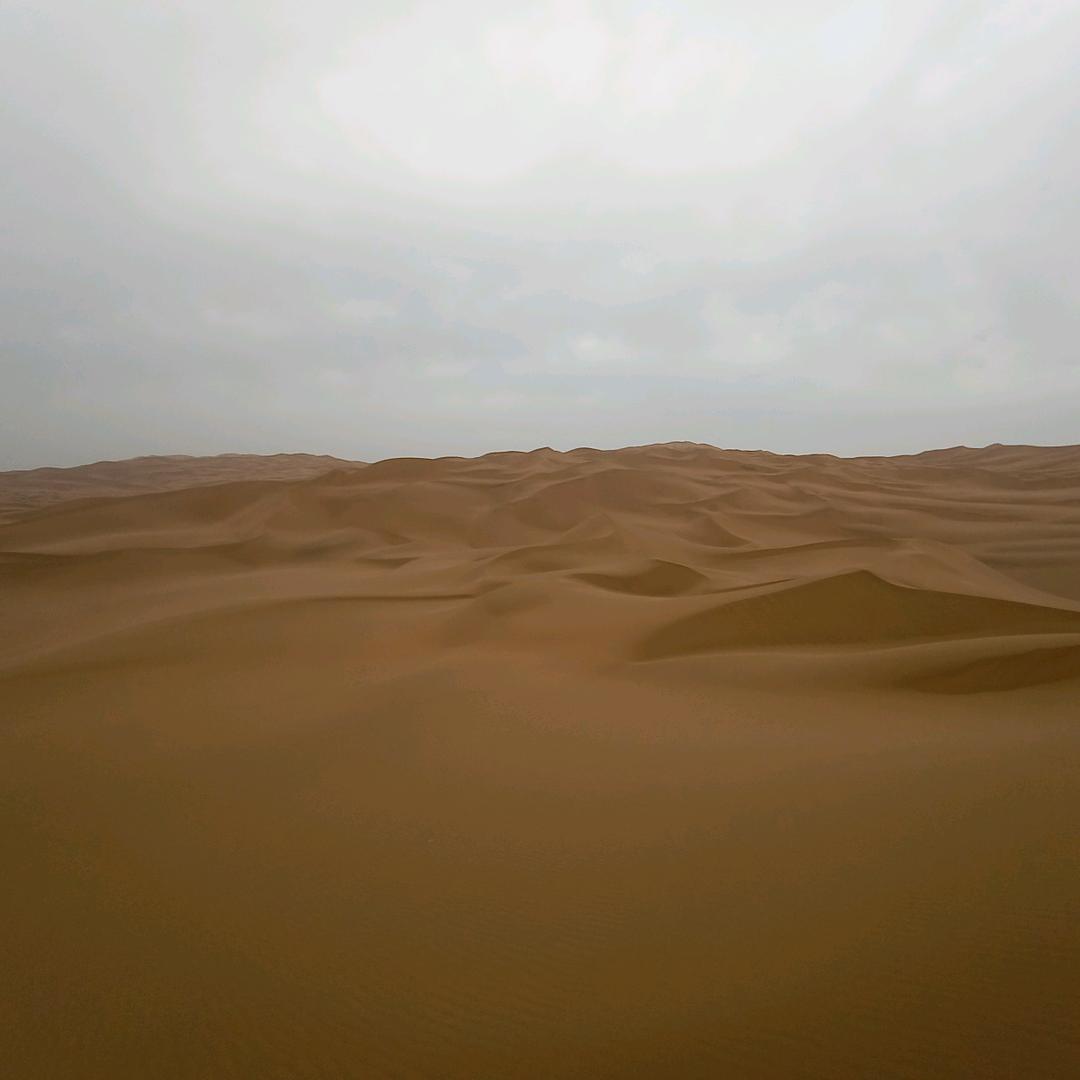 雷厉风行