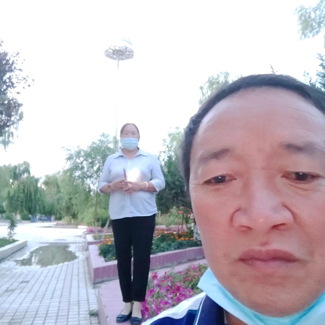真心真意