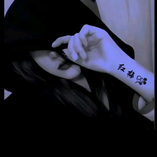 梅姐姐🎤（煜鑫木包装）