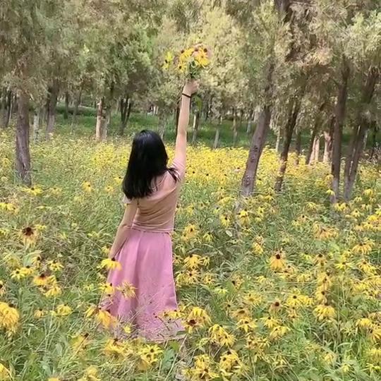 素心如简