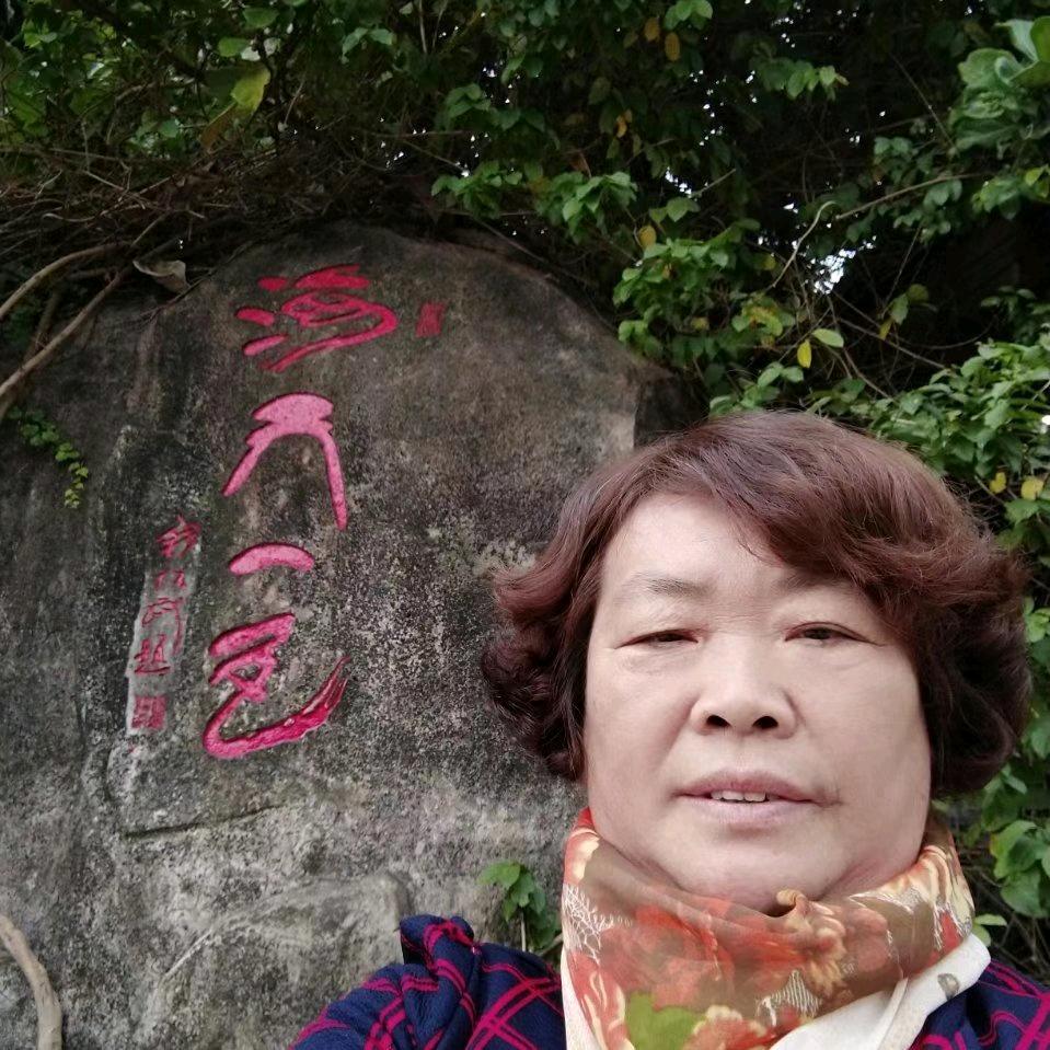 用户41883275乐游旅游