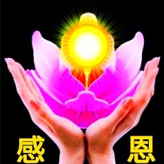 天天快乐生活
