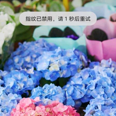 张阳阳