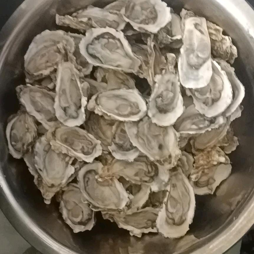 湛江生蚝(火烧桥桥头)