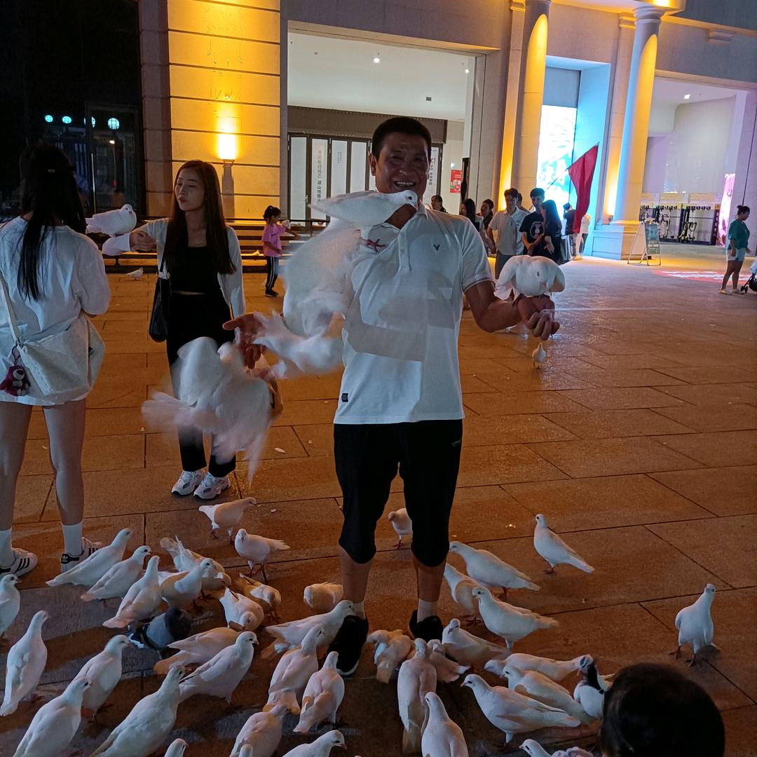 王者风帆