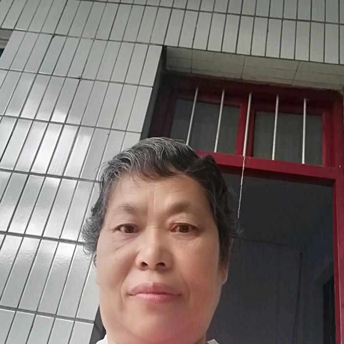 袁琴
