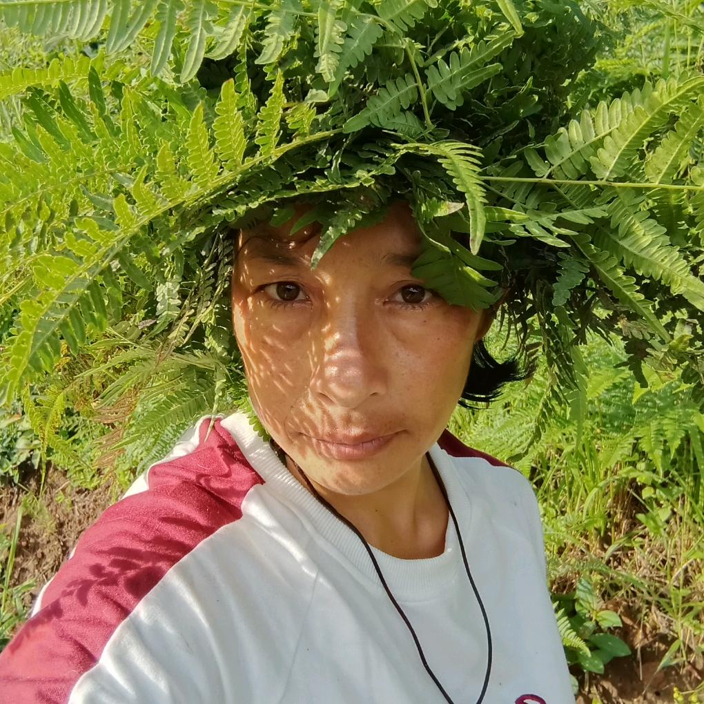 阿三姐