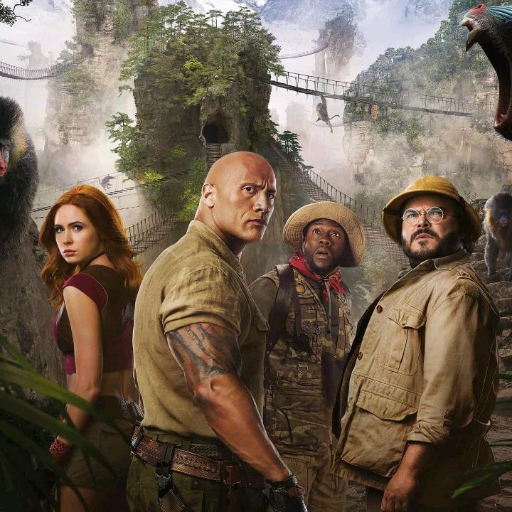 人生的赢家🌻🌻🌻🌻