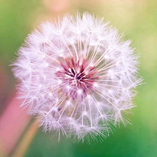 明天依然很美。