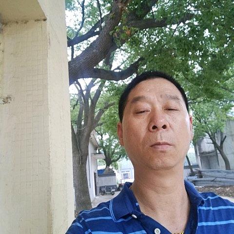 陶大大