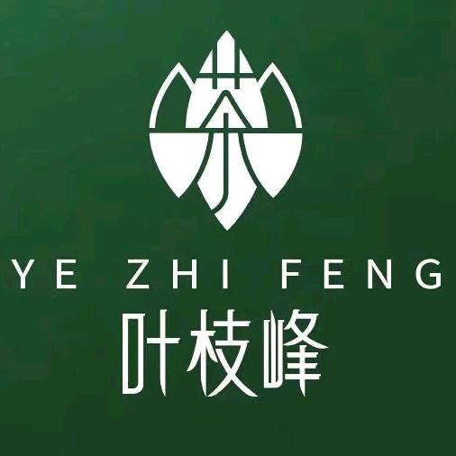 福鼎白茶—叶枝峰茶园