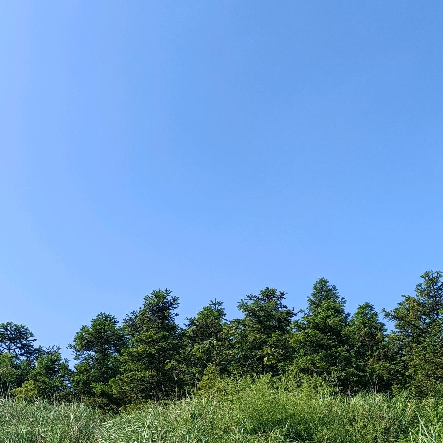 村里首负188
