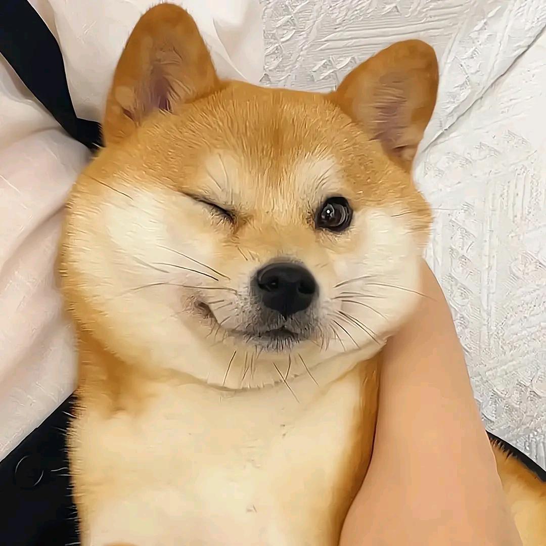 米波儿
