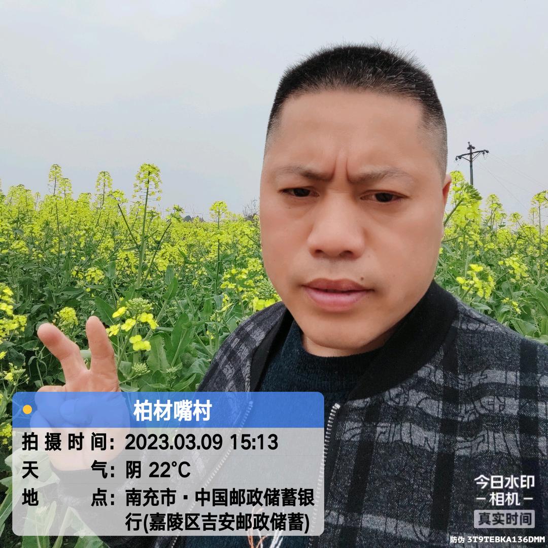 川R 木工  曹明元