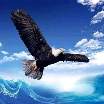 老方（爱娱乐）