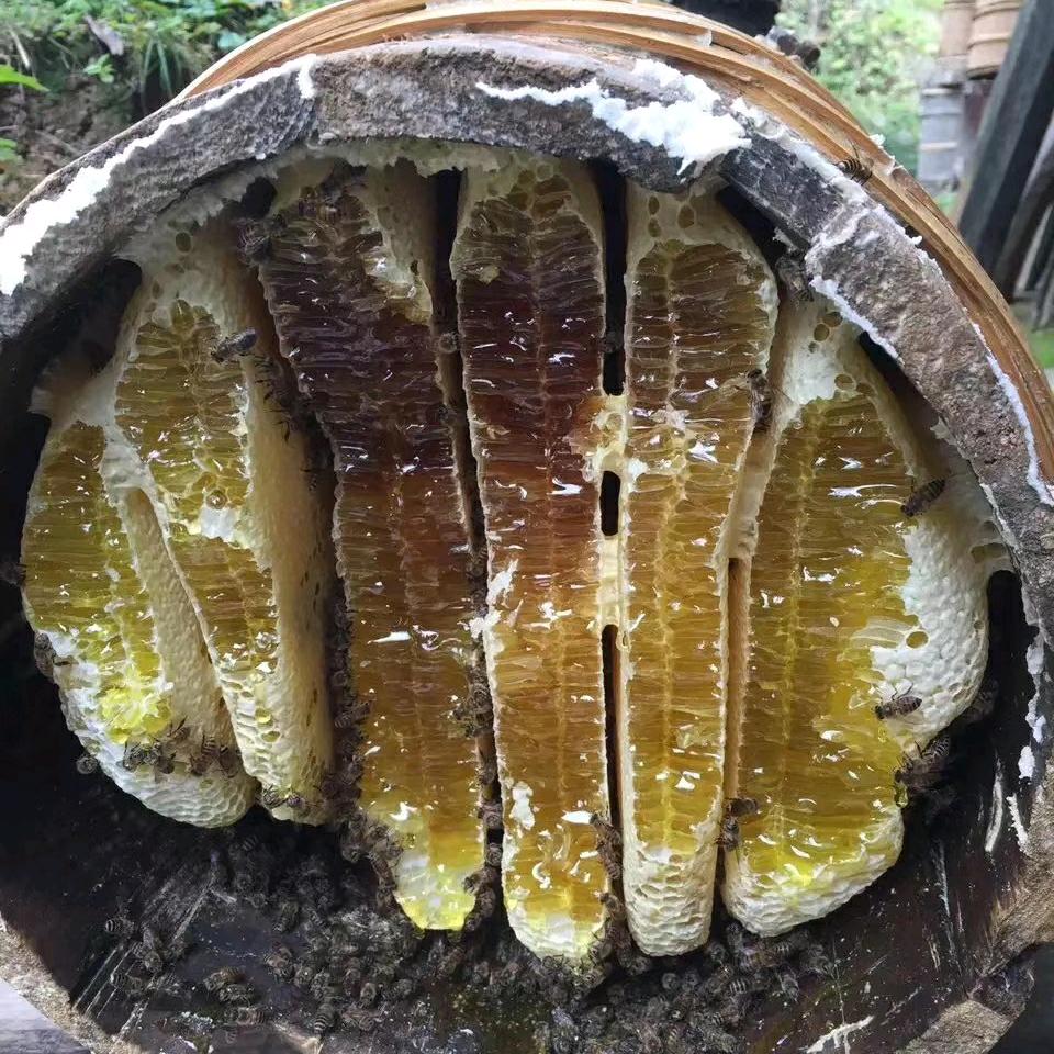 刘哥