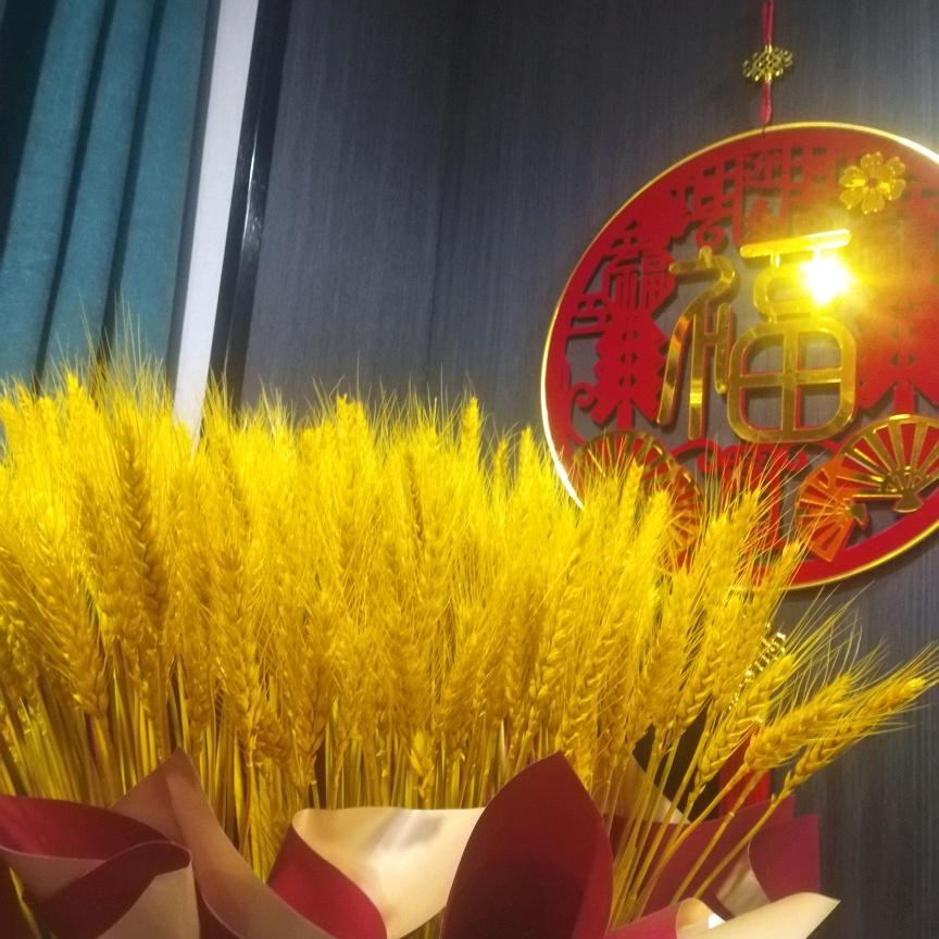 相依相随