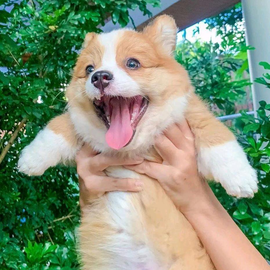 王王碎冰冰