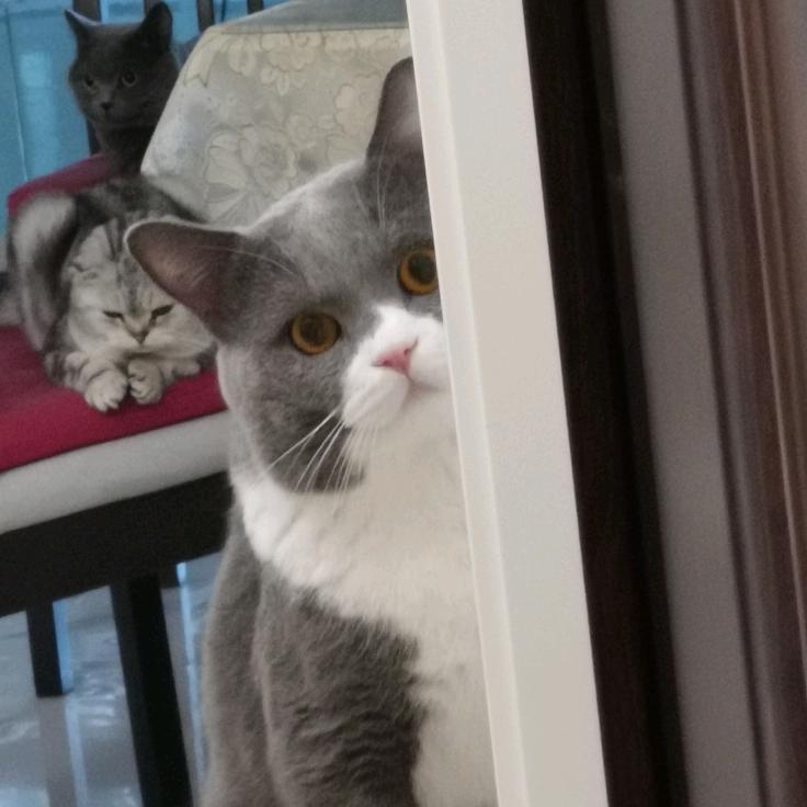 🐿️小周周Nick🥕