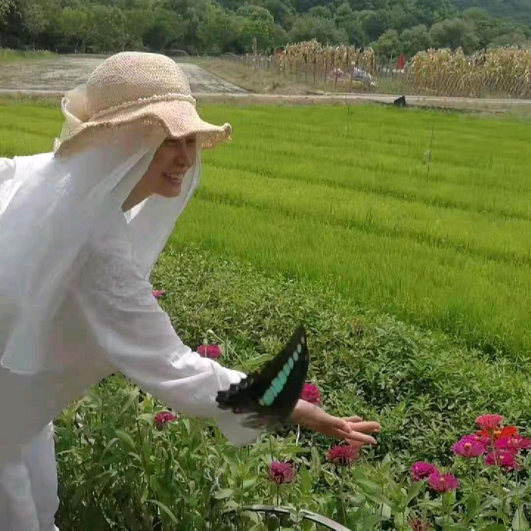 妙明仙子