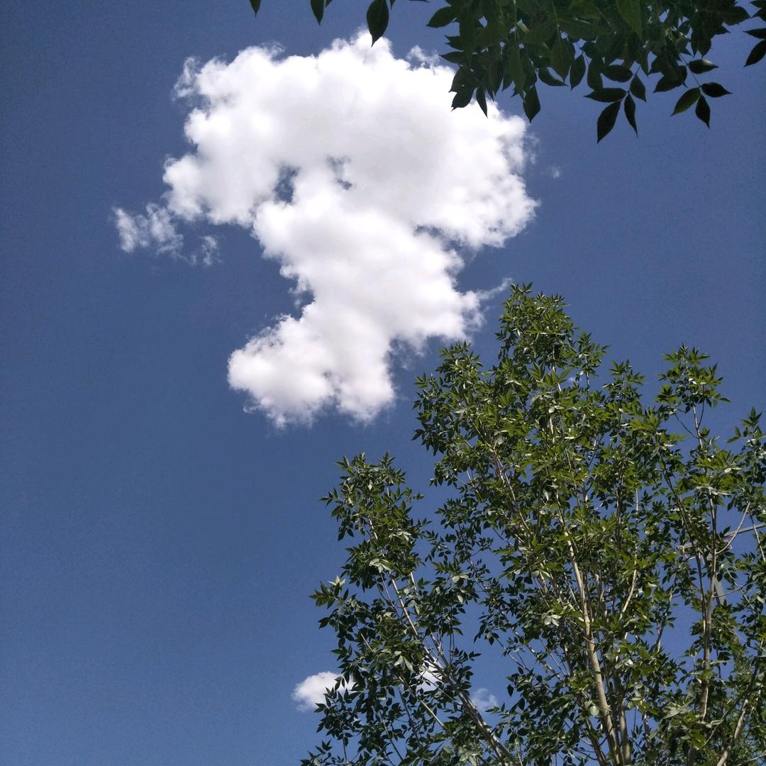 华仔