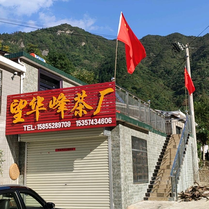 望华峰茶厂