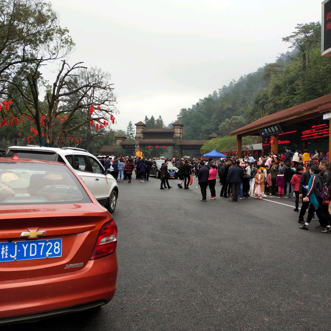 买个刚