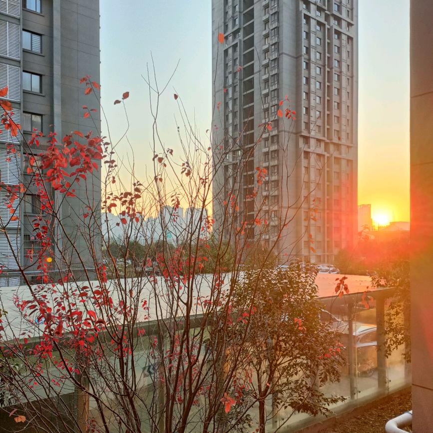 指尖上的一米阳光