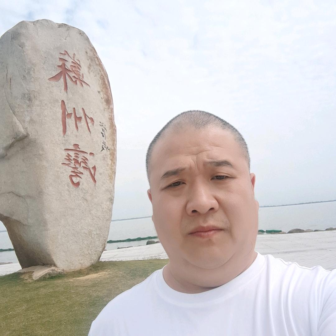 会飞的牛，自由自在