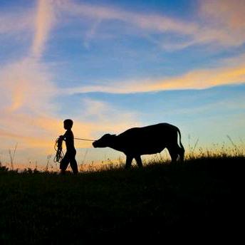 麻城市源头有机肥