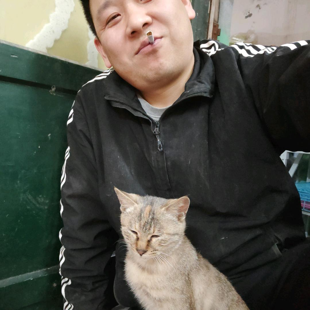 赵县萌宠宠物店