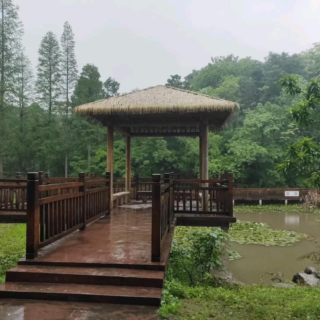 柚̶子̶半̶夏̶♡̶