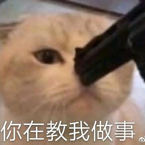 西瓜瓜