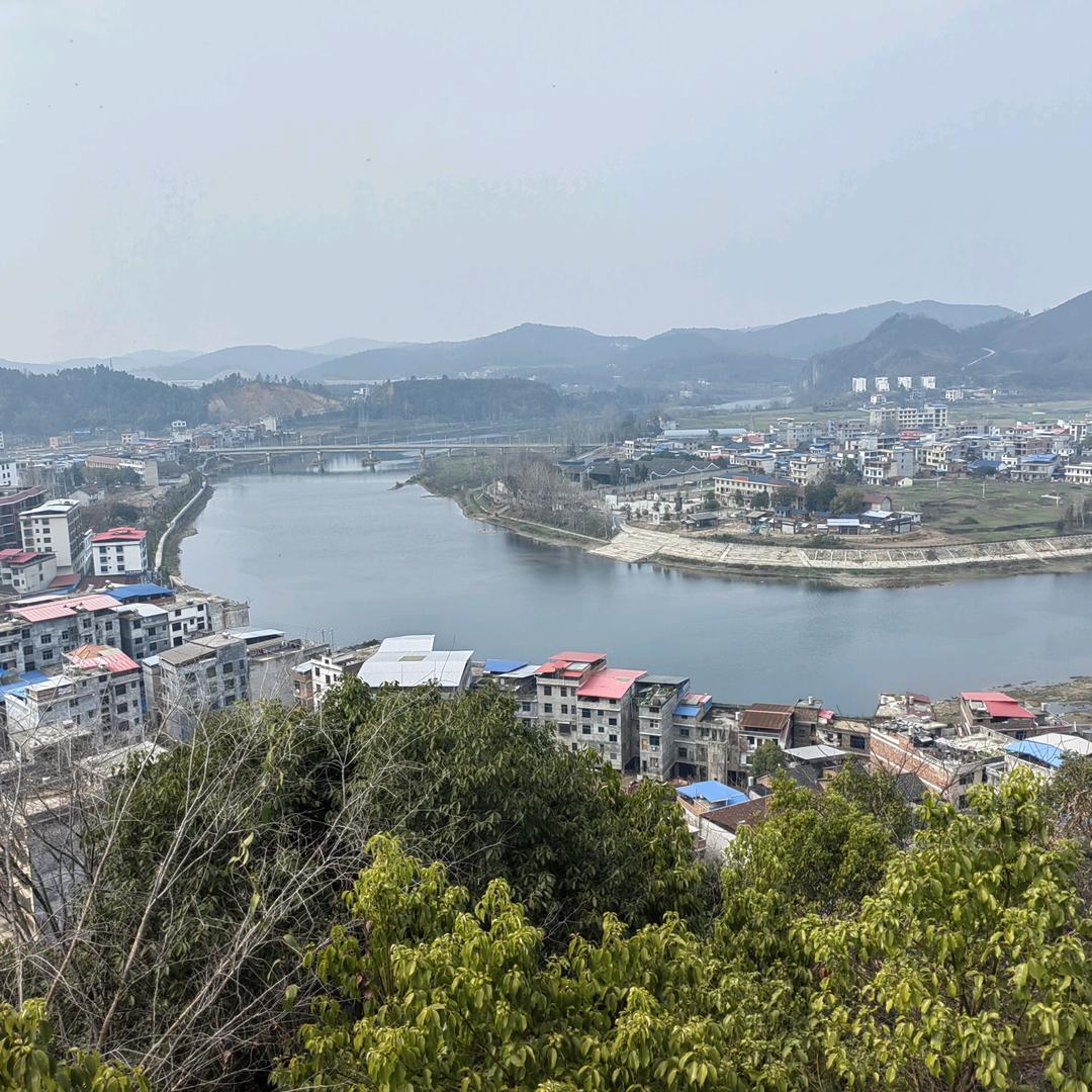 爱吃甜食的废物