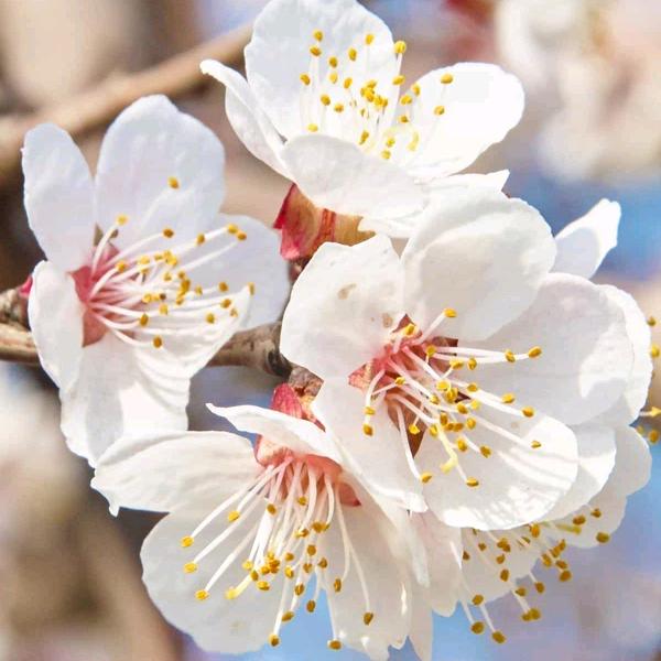 ⌚️我的余生借给你