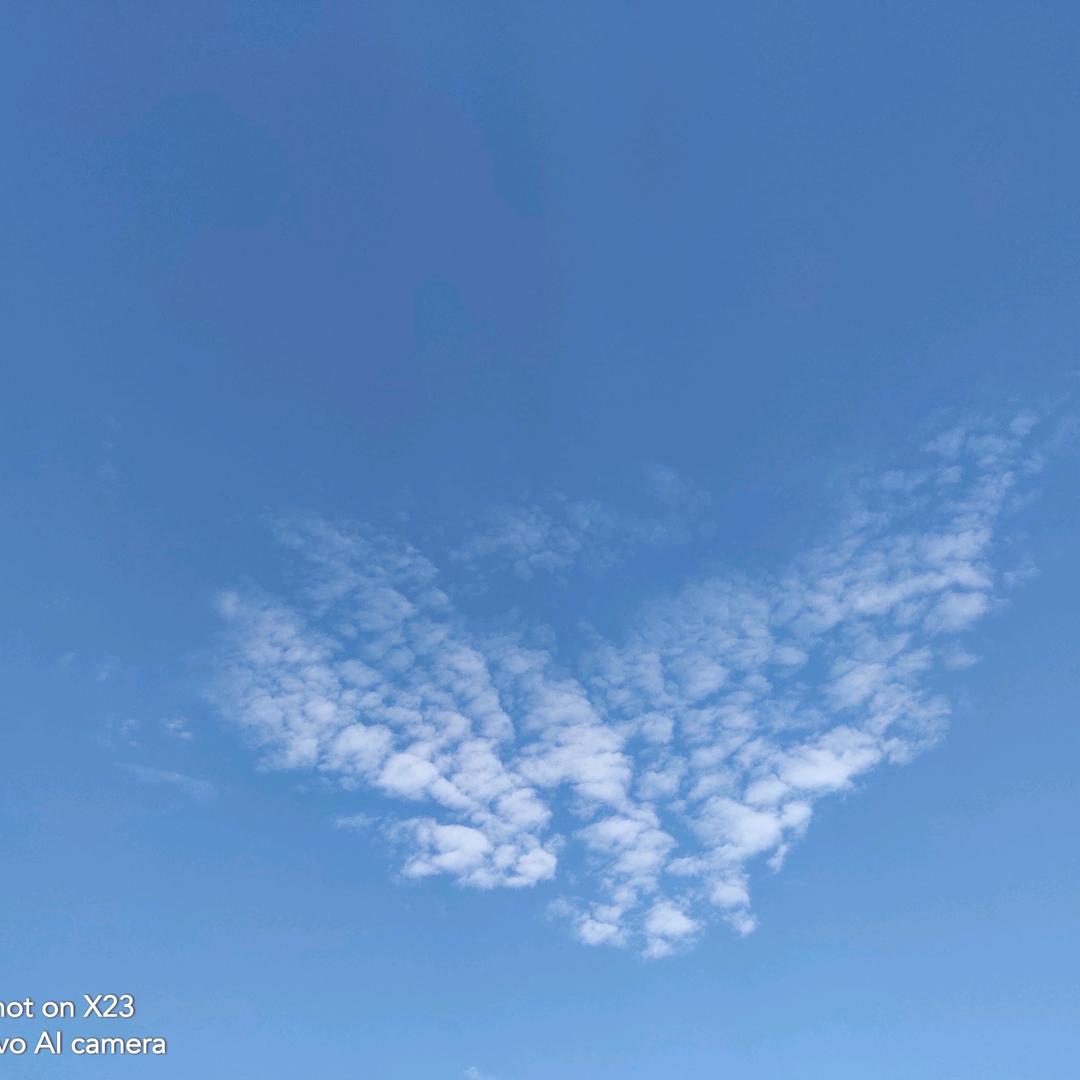 海绵宝宝