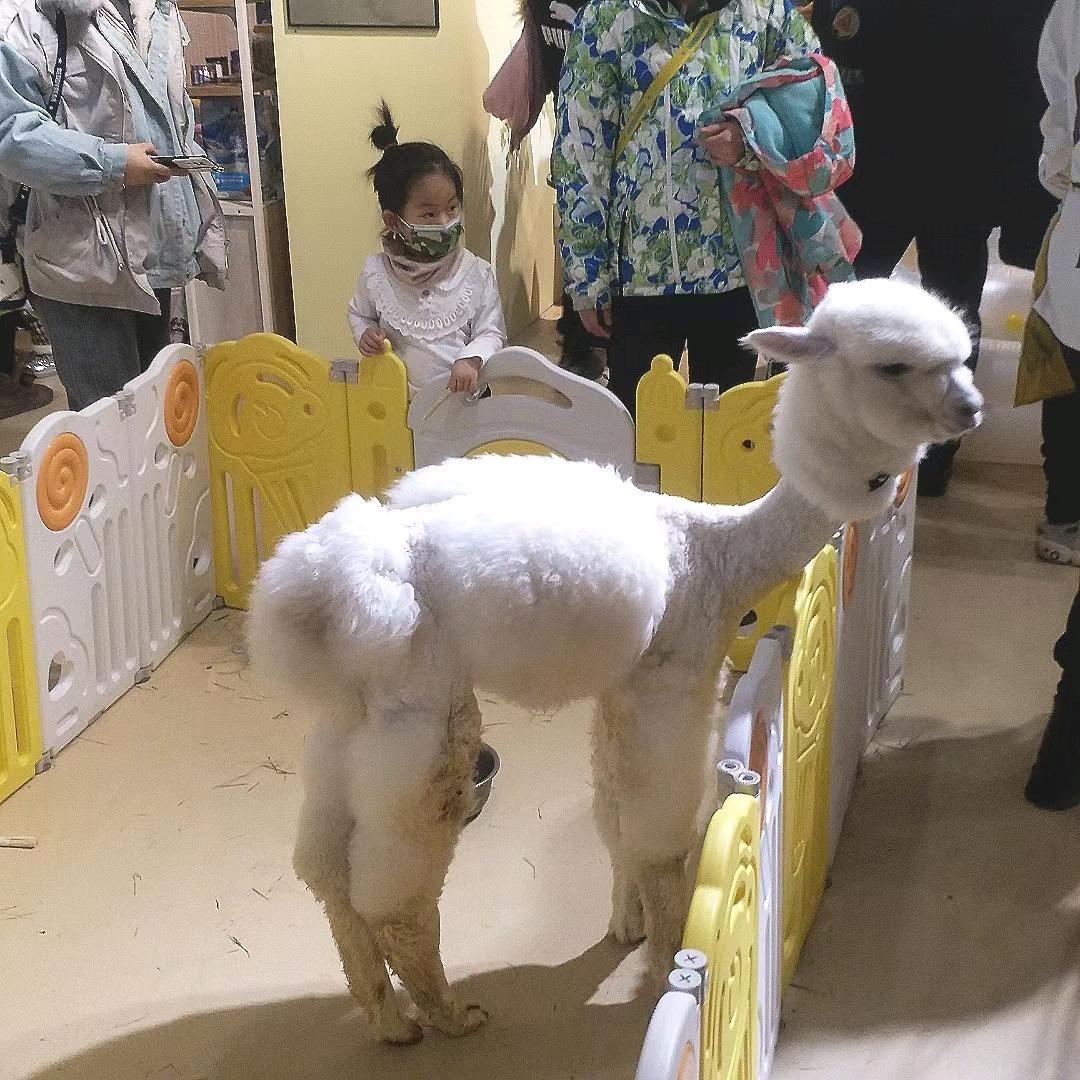 ด้วยความยินดี